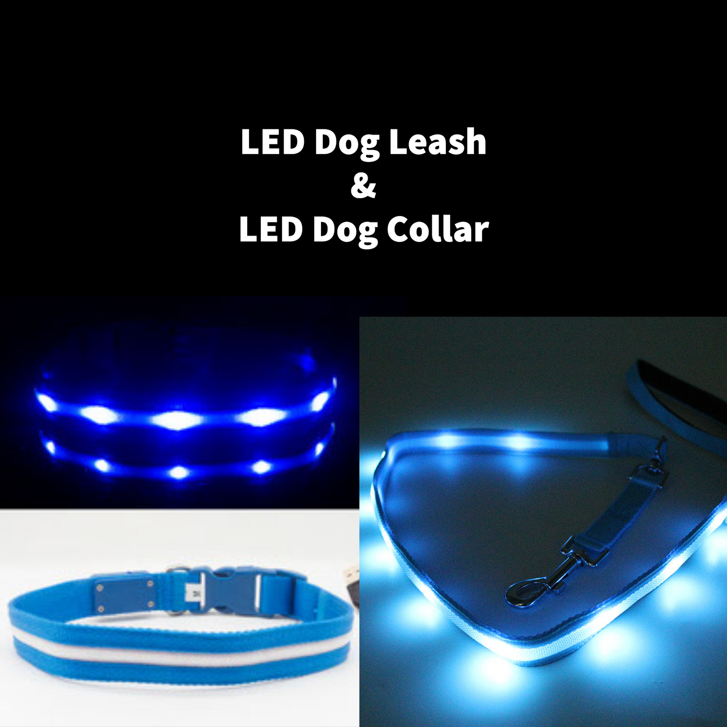 led dog leash and led dog collar