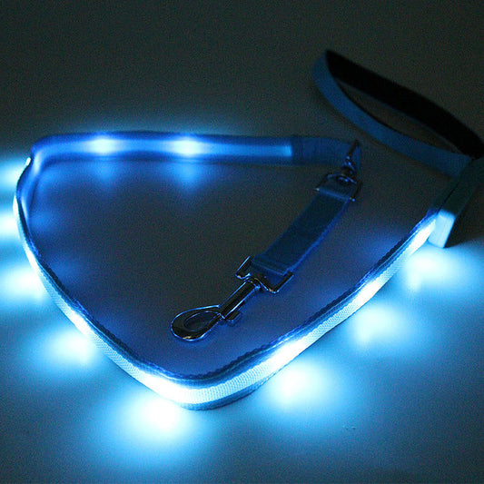 Rechargeable LED Dog Leash
